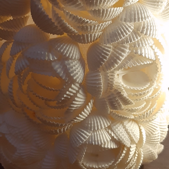 Pretty Pretty Seashell lamps - Picture 4 of 4